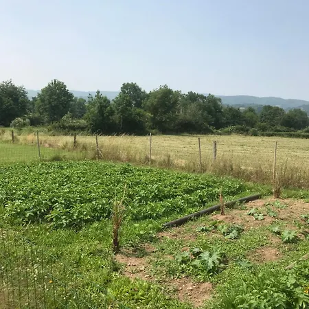 Bed & Breakfast La Varenne Changy (Loire)